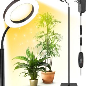 cannabis growing lights