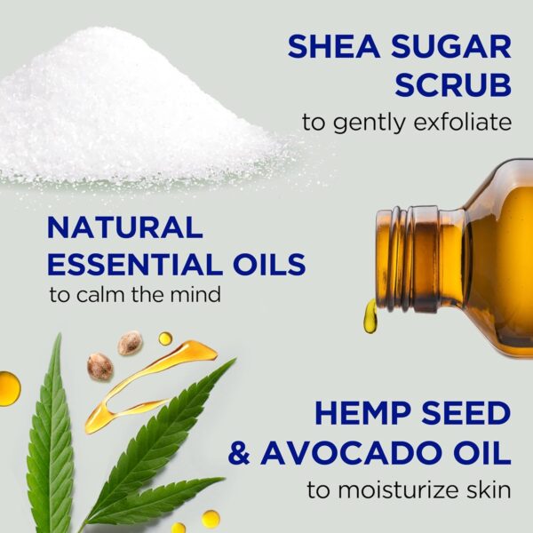 Dr Teal's Shea Sugar Body Scrub, Cannabis Sativa Hemp Seed Oil with Essential Oils, 19 oz (Pack of 3) - Image 2