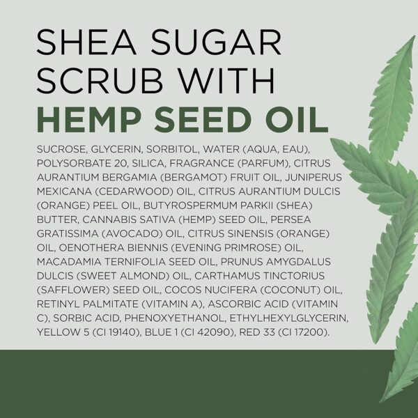 Dr Teal's Shea Sugar Body Scrub, Cannabis Sativa Hemp Seed Oil with Essential Oils, 19 oz (Pack of 3) - Image 10