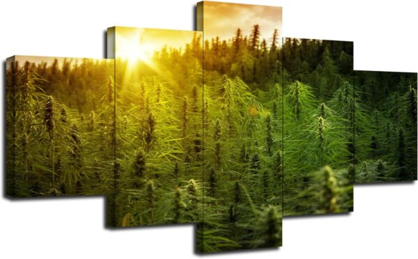 Marijuana Plants Wall Art Sunset Cannabis Field Wall Decor Farmhouse Landscape Paintings Posters Marijuana Plant Canvas Print Pictures Framed Home Living Room Bedroom Decorations(60''Wx32''H) - Image 2