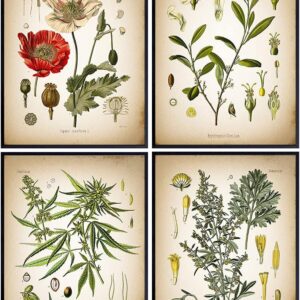 cannabis art