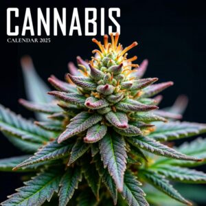 Cannabis Beauty