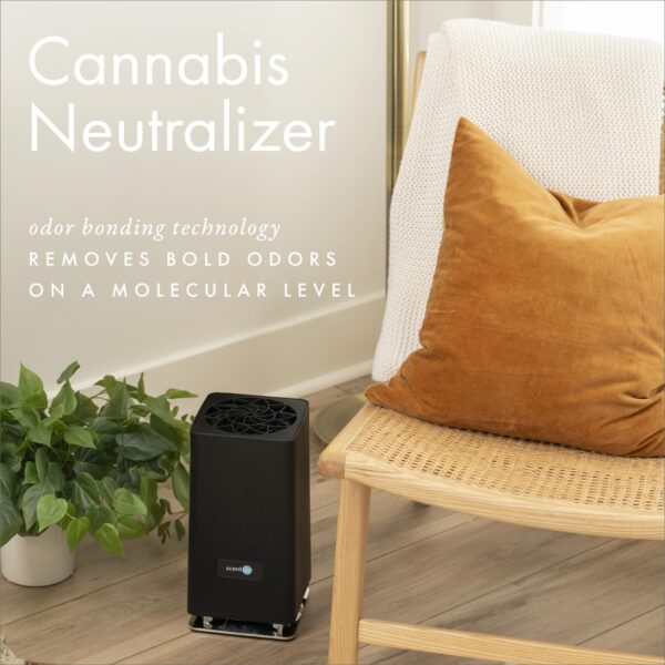 Monthly Fragrance Cartridge for Whisper Home - Cannabis Neutralizer - Image 5