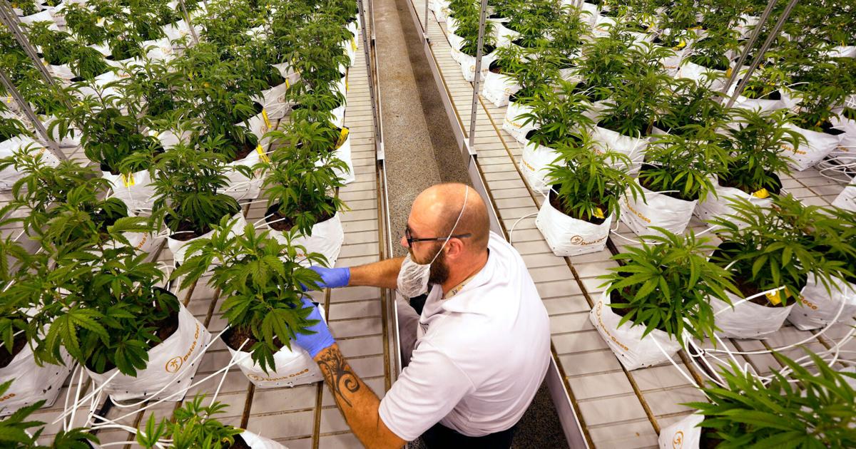 Gov. Jim Pillen approves revised Nebraska medical cannabis rules