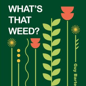 marijuana book
