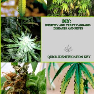 marijuana book