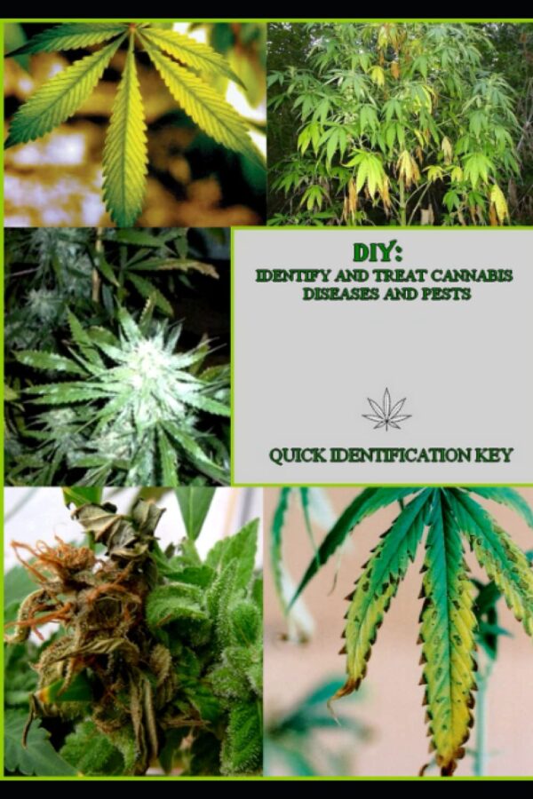 marijuana book