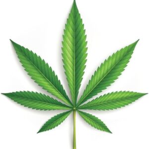 cannabis art