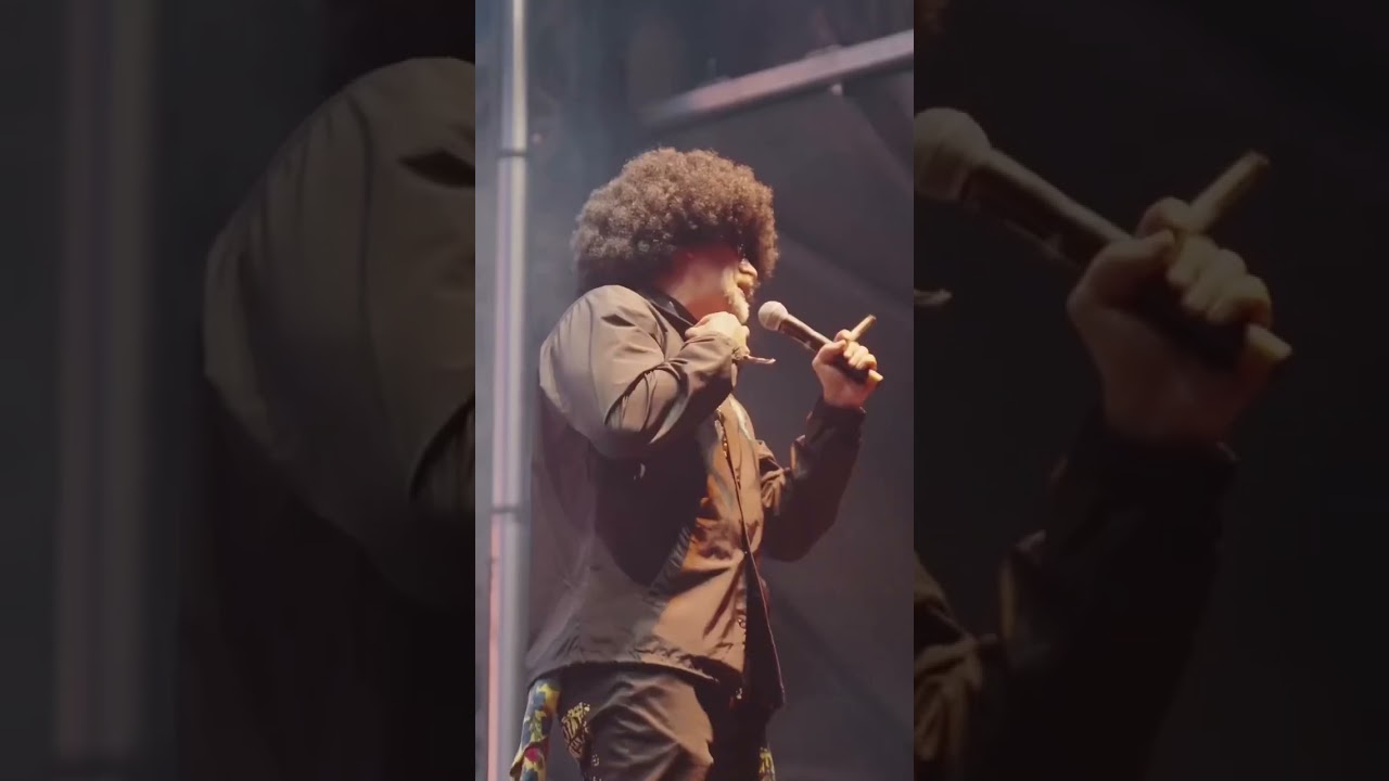 A look into the “Cali Vibes Festival” courtesy of @brealtv