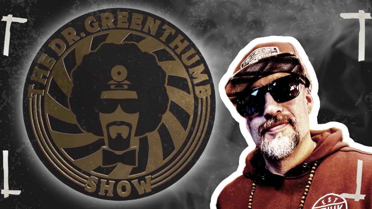 LIVE From Cali Vibes Fest!  DAY 3 - - The Dr. Greenthumb Show
