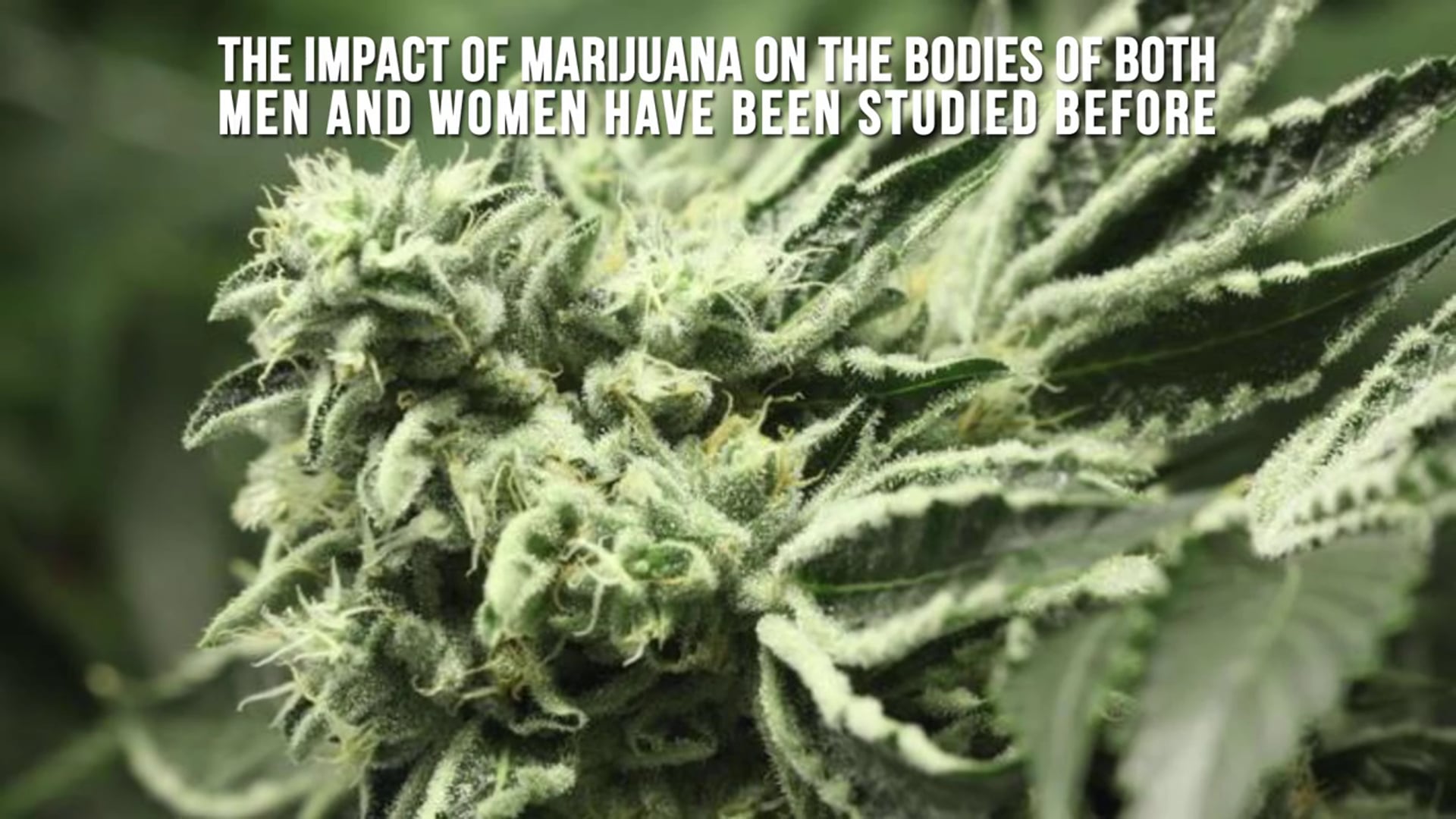 Does Marijuana Effect Men and Women Differently?