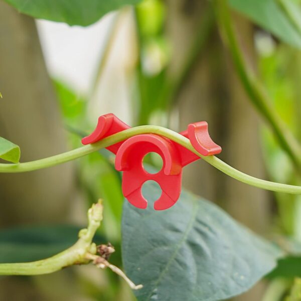 XINHUIDALSQ 60 PCS Low-Pressure Plant Training Clip, 90 Degrees Plant Stem Trainer, Plant Training Clips Plant Bud Bender, Gentle Plant Clips(Red) - Image 2