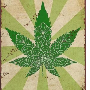 cannabis art
