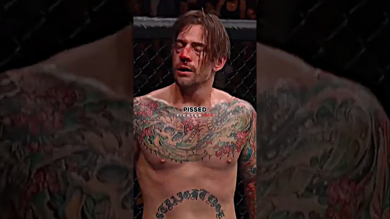 Why CM Punk Is A Joke🥊🤣