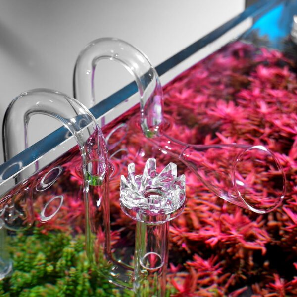FZONE Aquatic Glass Lily Pipe Set with Skimmer Inflow and Outflow for Aquarium Filter 5/8''(16/22mm) Tubing - Image 4