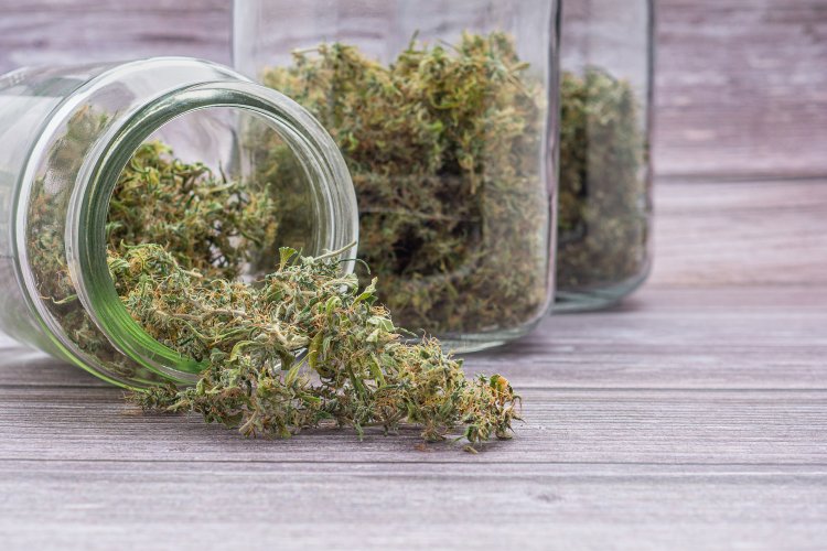 Santa Monica Approves Expanded Cannabis Retail Program with Social Equity Focus