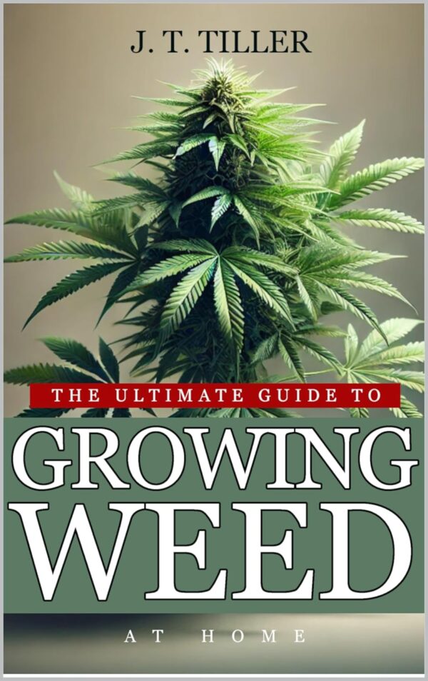cannabis