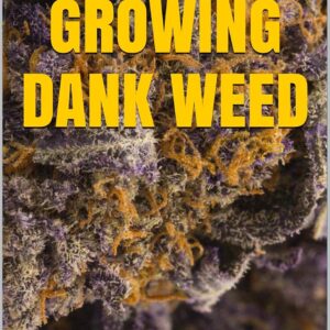marijuana book