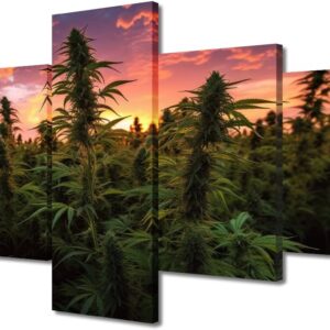 marijuana art