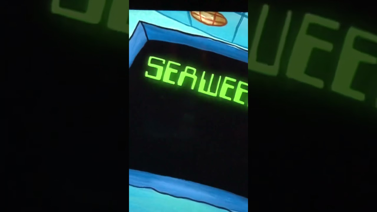 “50% SEA, 50% WEED” - SpongeBob #spongebob #nickelodeon #funny