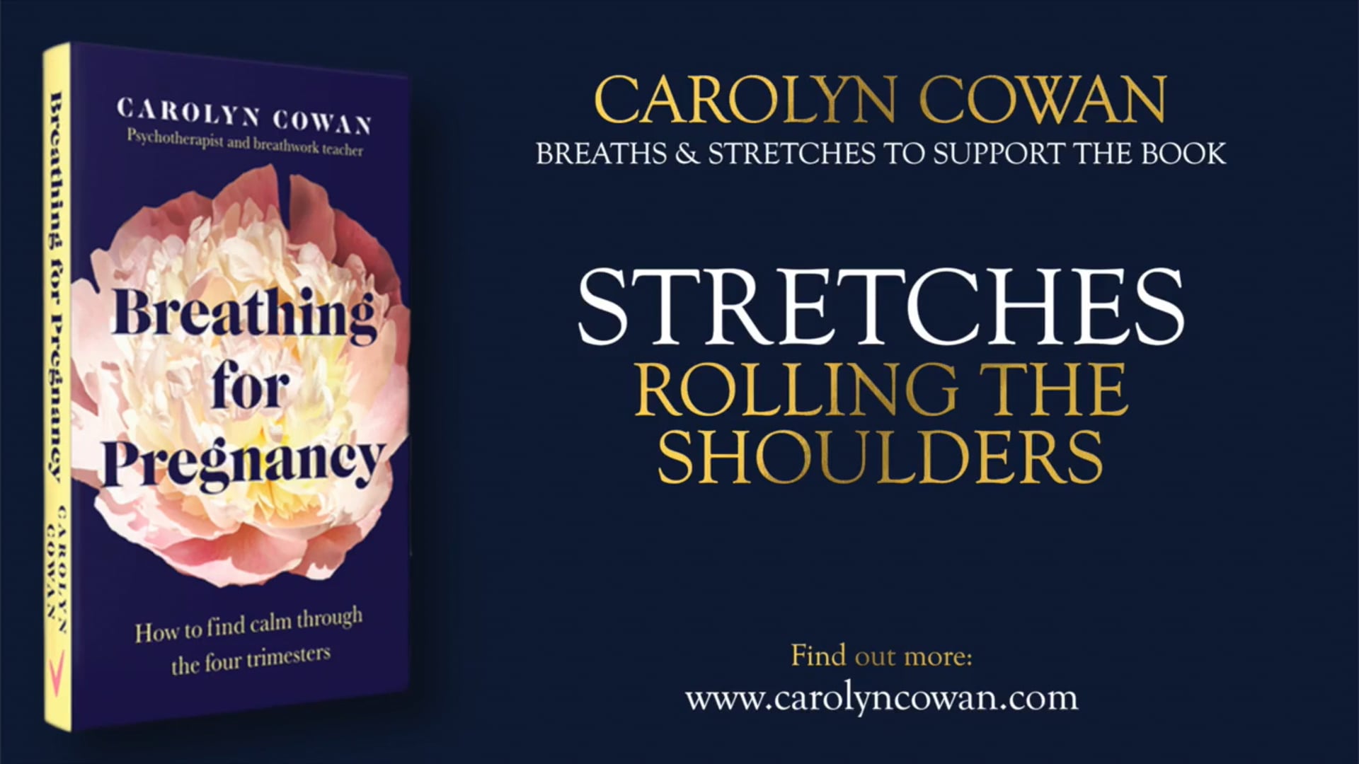 11. Stretches: Rolling the Shoulders