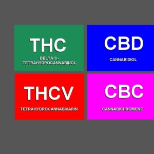 cannabis