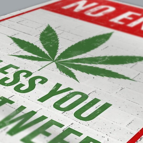 No Entry Unless You Brought Weed, Wall Art Poster 8x12 inch - Image 2