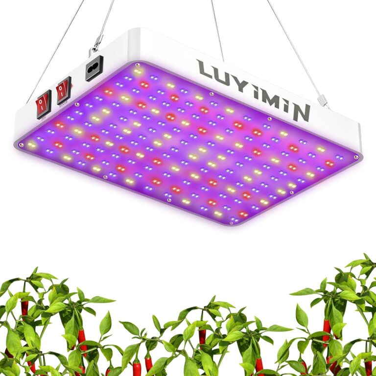 cannabis growing lights