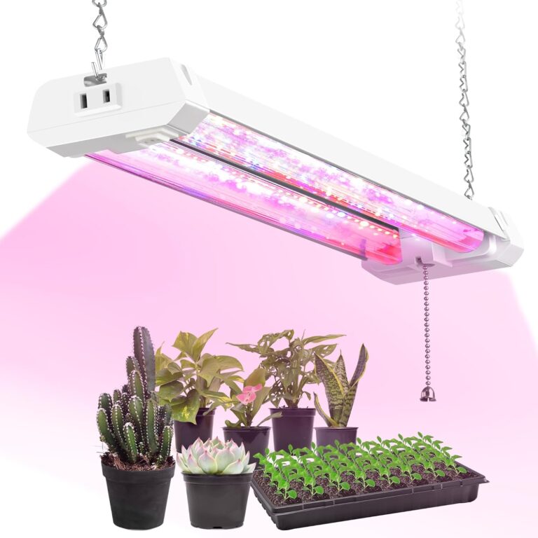 cannabis growing lights