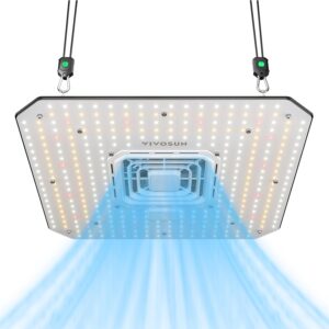 cannabis growing lights