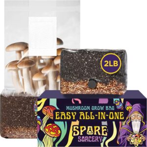 cannabis seeds
