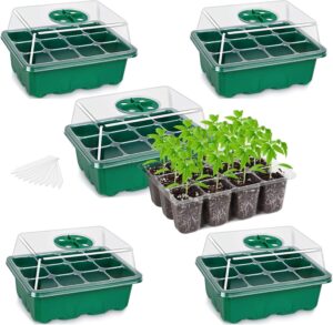 cannabis seeds