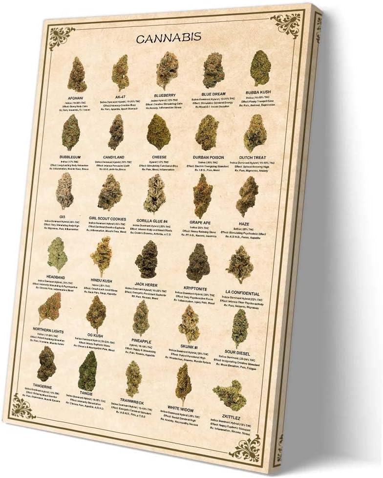 marijuana art
