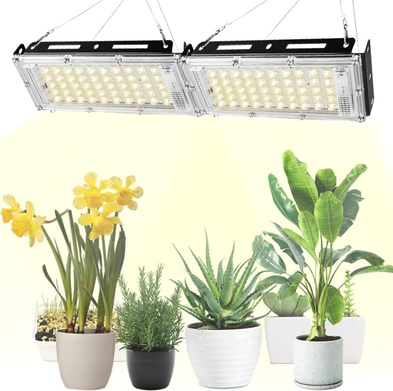 cannabis growing lights