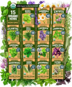 cannabis seeds