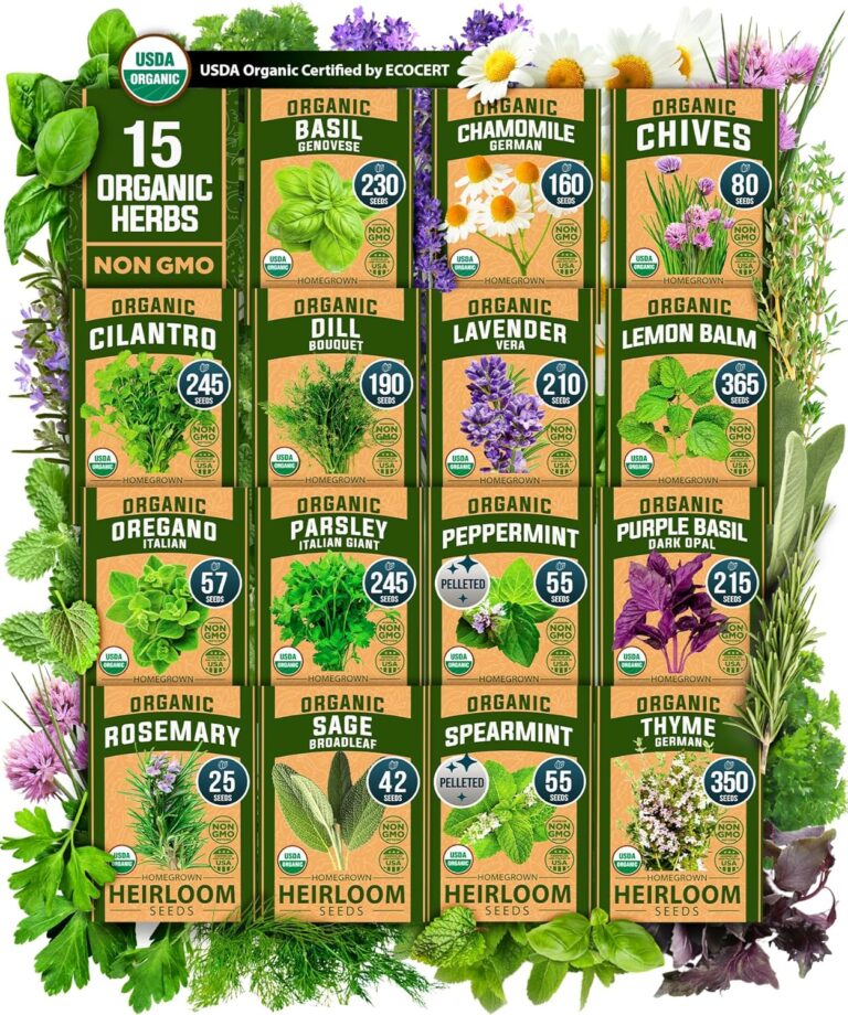 cannabis seeds