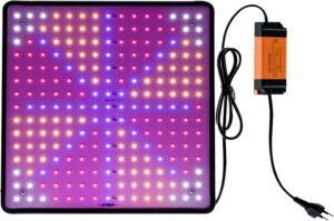cannabis growing lights
