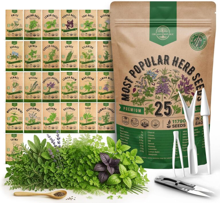 cannabis seeds