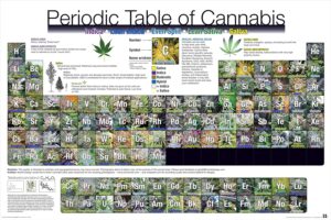 cannabis smoking
