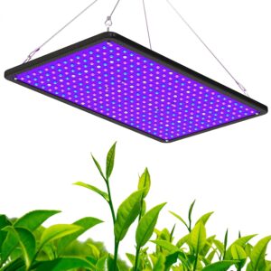cannabis growing lights
