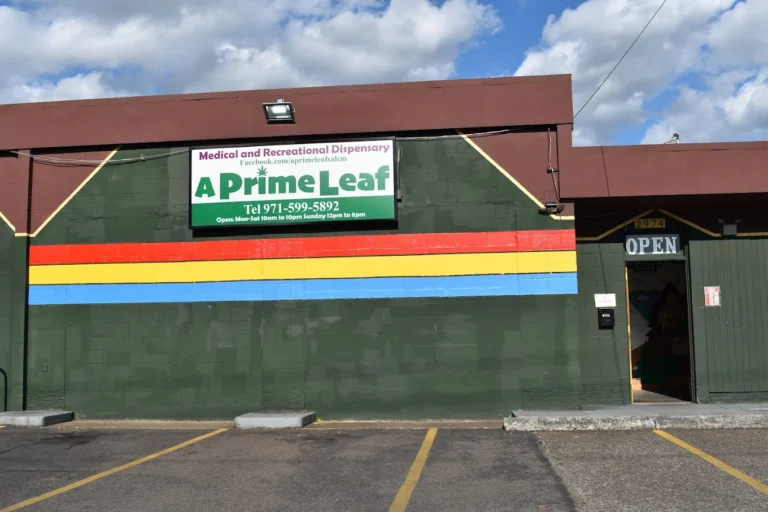 A Prime Leaf 768x512