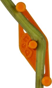 cannabis accessories growing