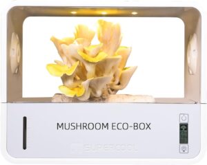 cannabis accessories growing