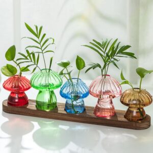 cannabis accessories growing