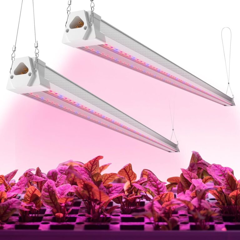 cannabis growing lights