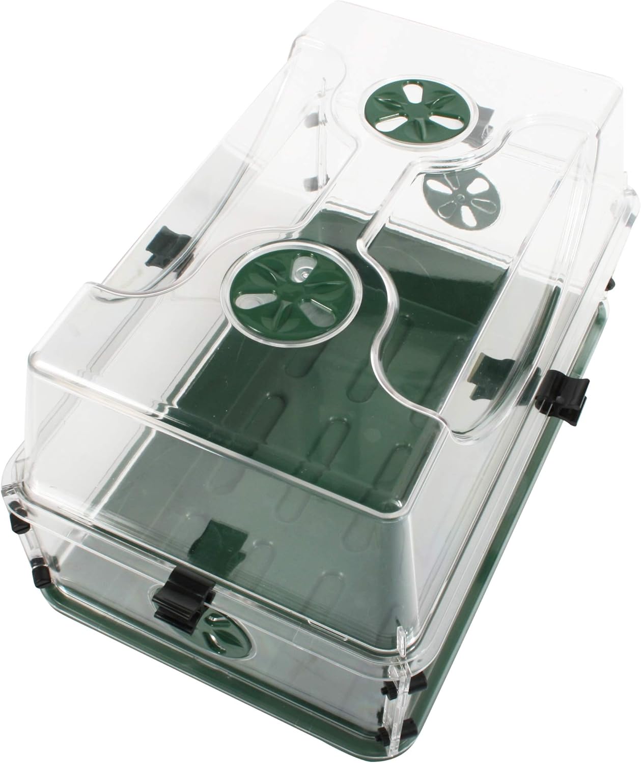 cannabis accessories growing