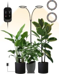 cannabis growing lights