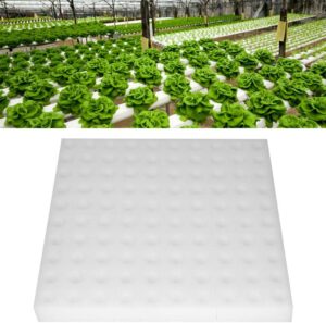 cannabis accessories growing