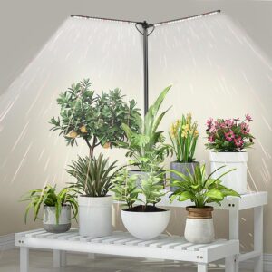 cannabis growing lights