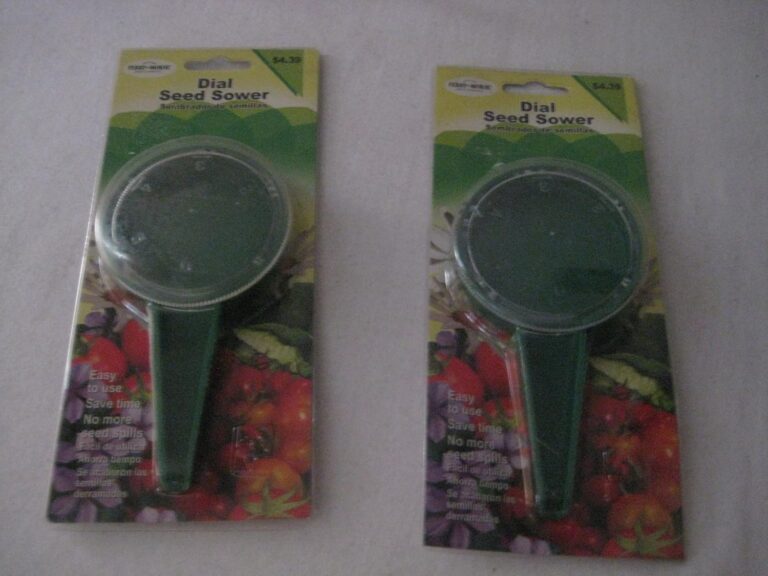 cannabis seeds